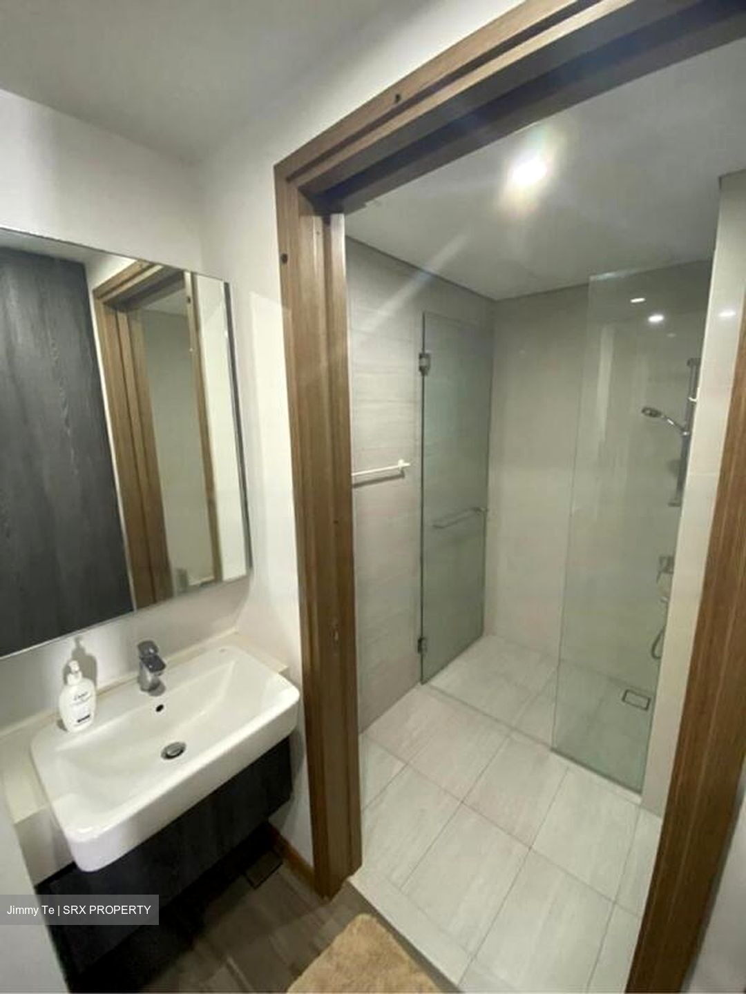 Lakeville (D22), Condominium #492528471